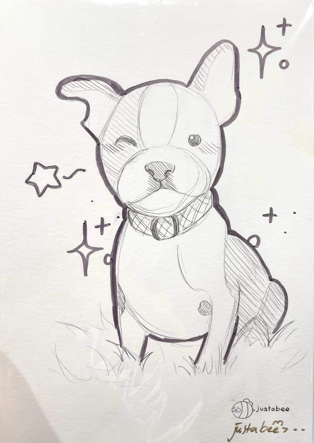 pet sketch