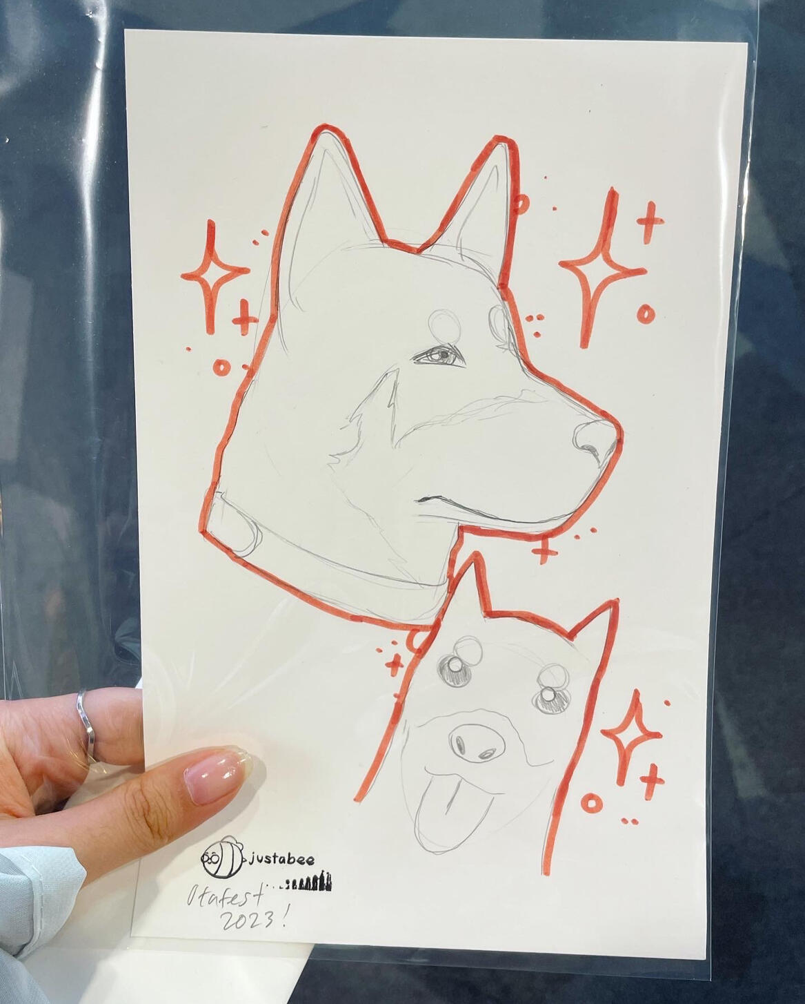 pet sketch